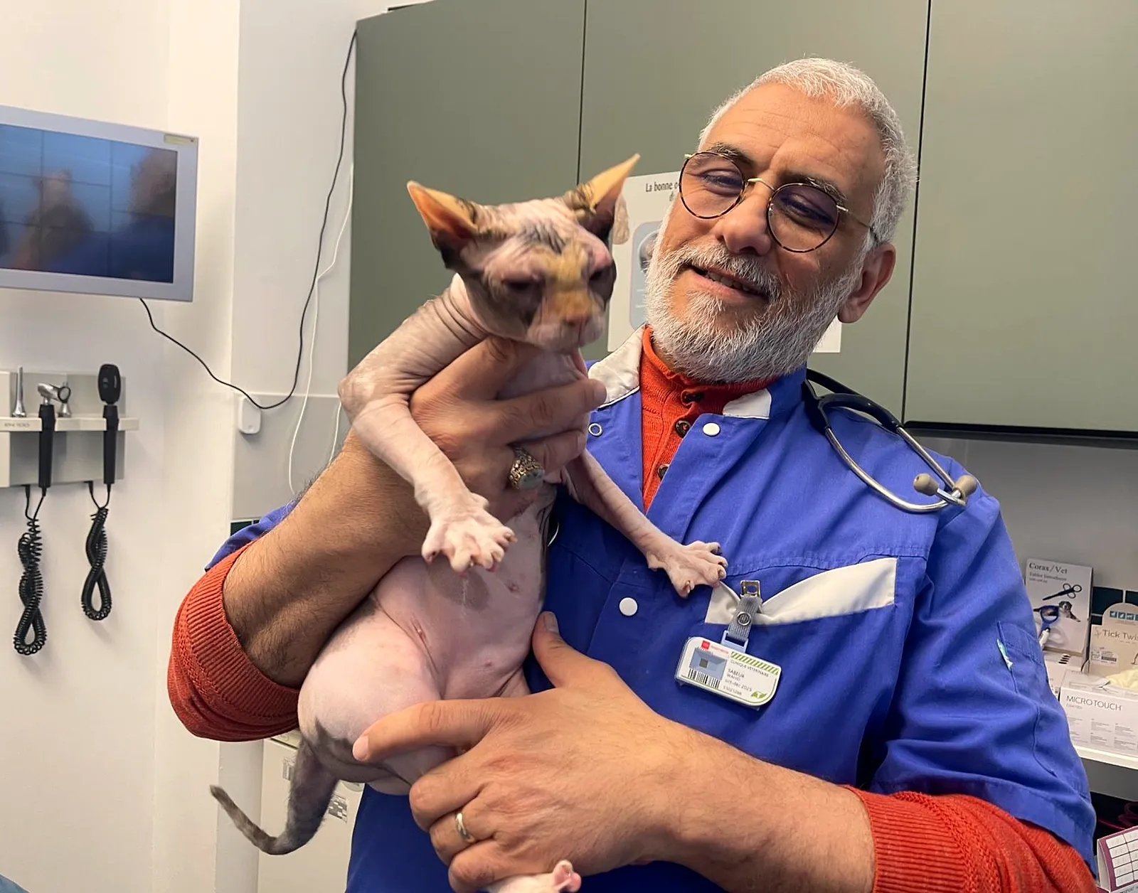 Le Dr Wahid Sabeur tenant un chat sphynx au cabinet vétérinaire
