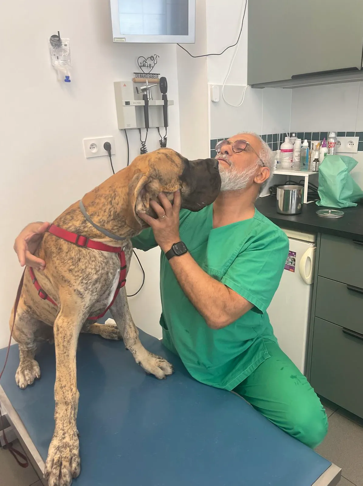 Le Dr Wahid Sabeur avec un dogue allemand en consultation à Saint-Victoret