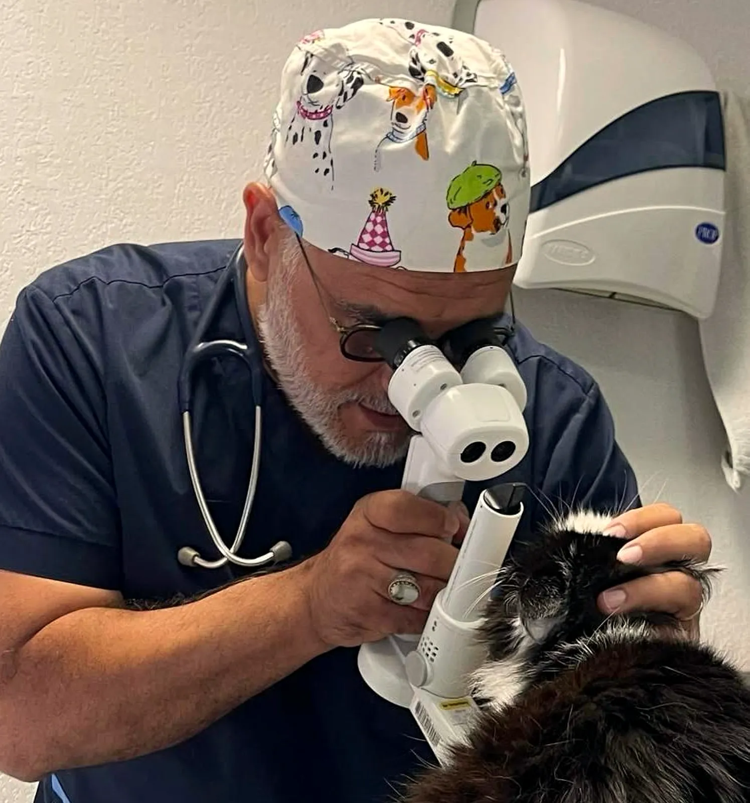 Le Dr Sabeur examine l'œil d'un chat au biomicroscope