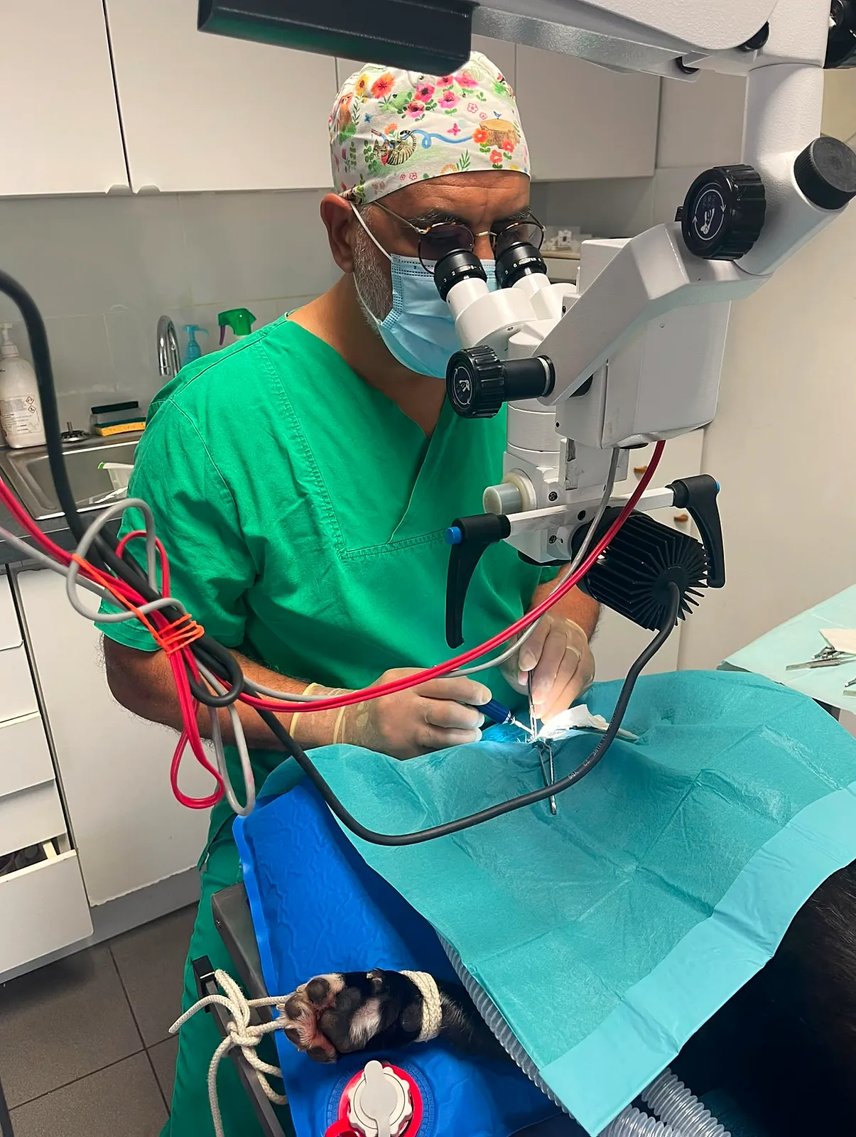 Microchirurgie oculaire au microscope opératoire