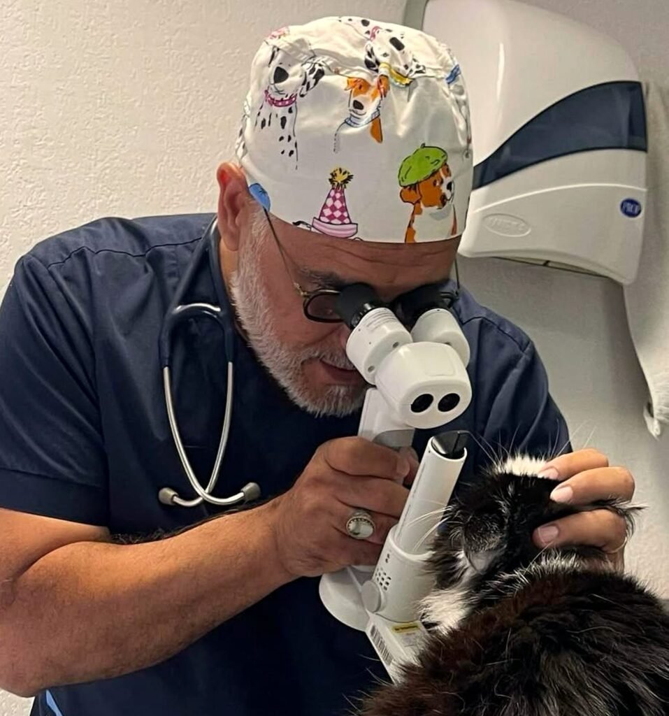 Glaucome chez le chien et le chat : une urgence en quelques heures